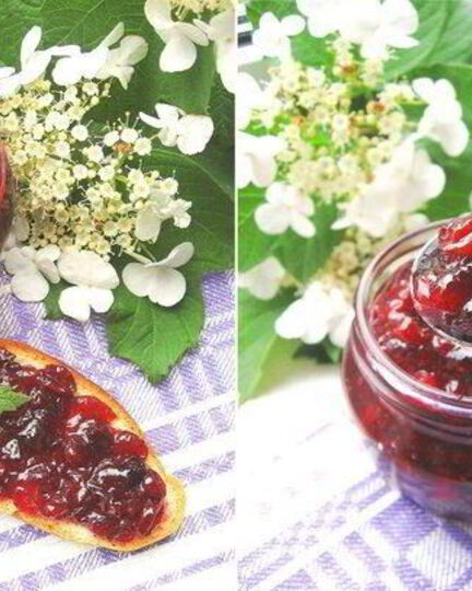 Рецепт клюквенного джема