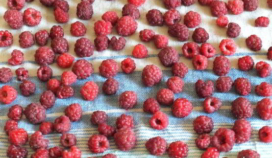 малиновый джем без варки