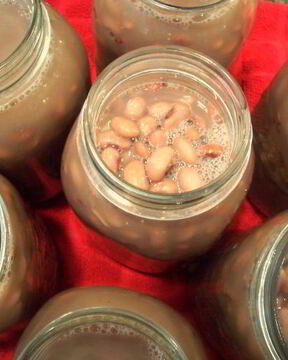 Фасоль на зиму