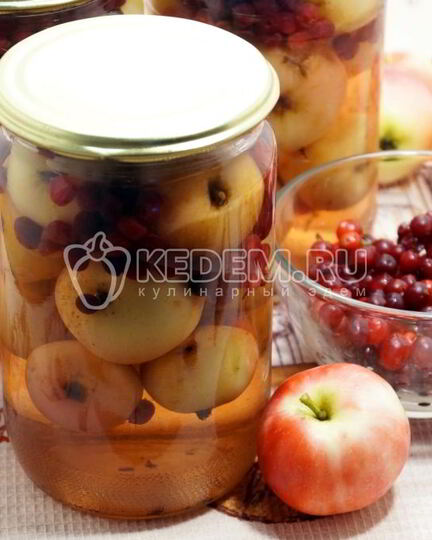 Рецепт компота из брусники с яблоками