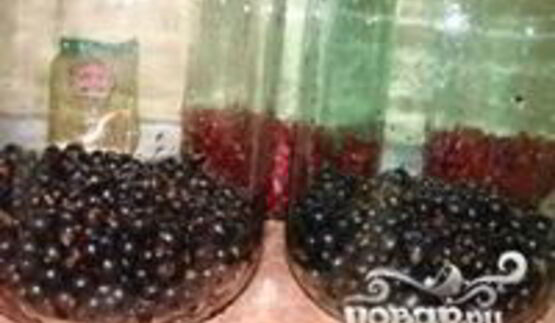 компот из черной смородины