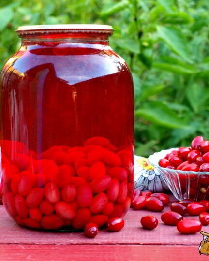 Рецепт компота из кизила на зиму