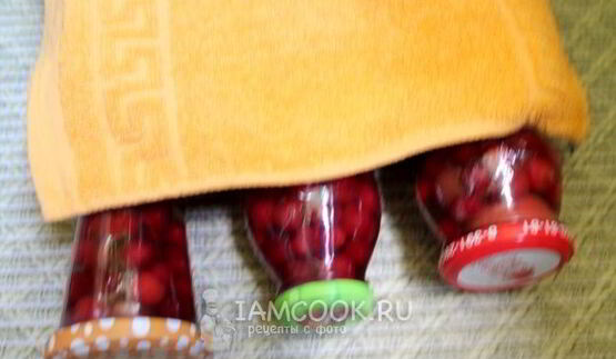 компот из ранеток и вишни на зиму