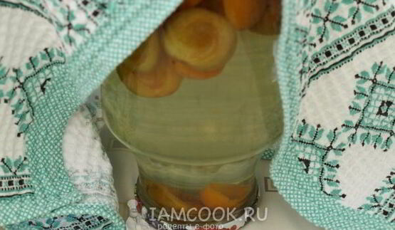 компот из сливы и абрикоса на зиму