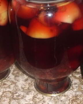 Компот сливово-яблочный