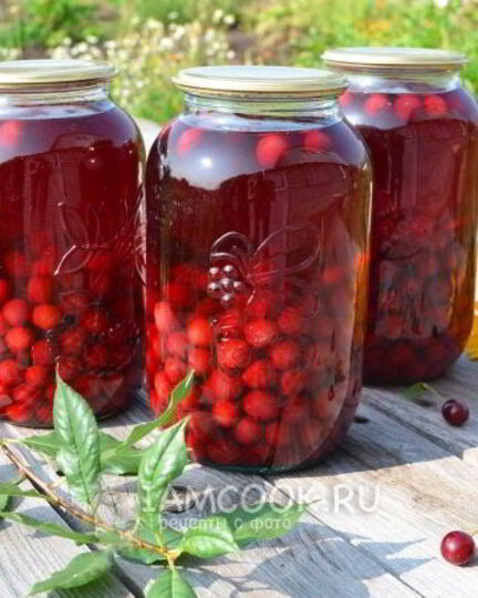 Рецепт концентрированного компота из вишни на зиму