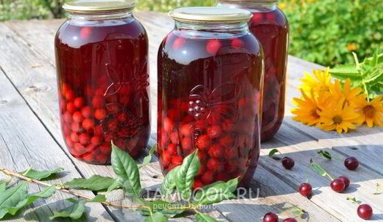 концентрированный компот из вишни на зиму