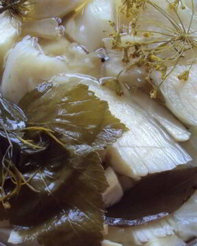 Белокочанная капуста маринованная