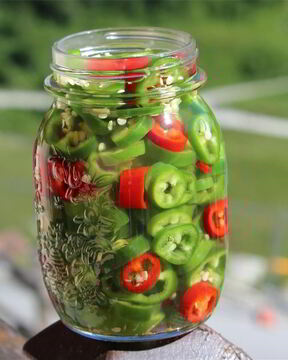 Горький перец маринованный