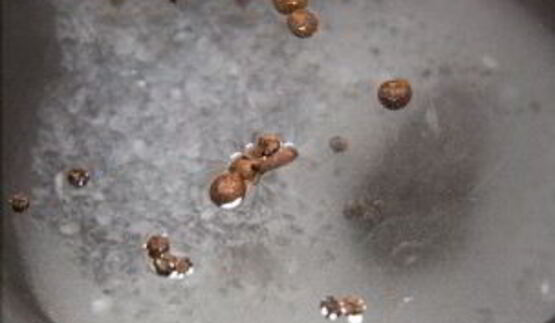 маринование стрелок чеснока