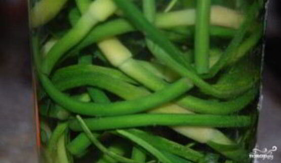 маринование стрелок чеснока