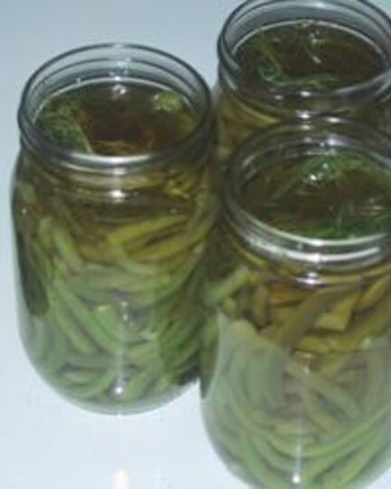 Рецепт маринованной стручковой фасоли