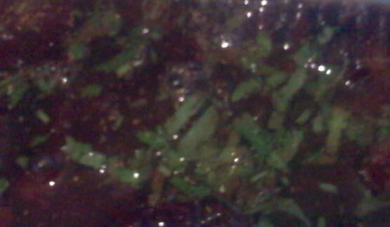 маринованная свекла по-грузински