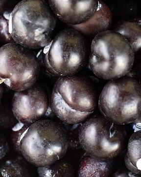 Маринованный чернослив без стерилизации с пряностями