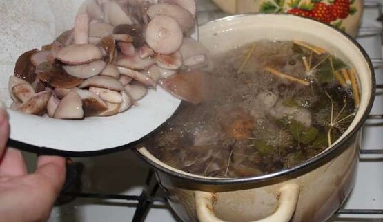 маринованные маслята