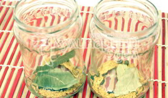 маринованные огурчики на закуску