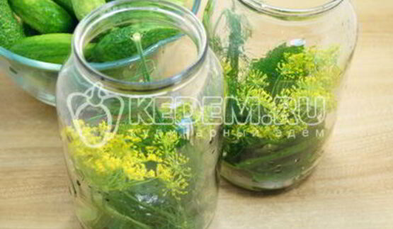 маринованные огурцы на зиму в банках