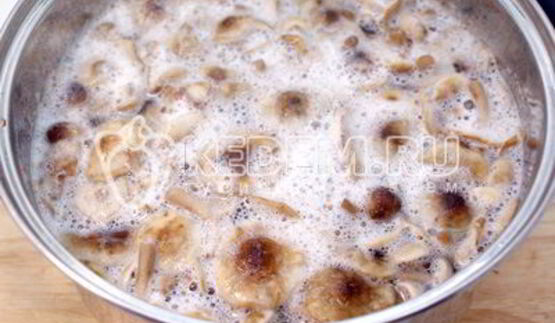 маринованные опята на зиму