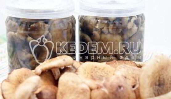 маринованные опята на зиму