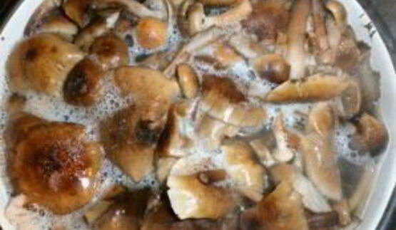 маринованные опята в масле