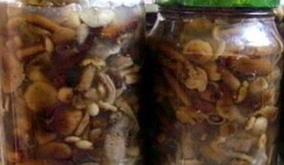 маринованные опята в масле