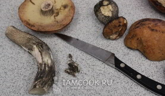 маринованные подосиновики