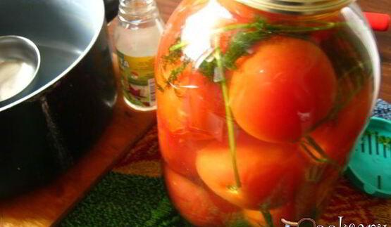 маринованные помидоры медовые
