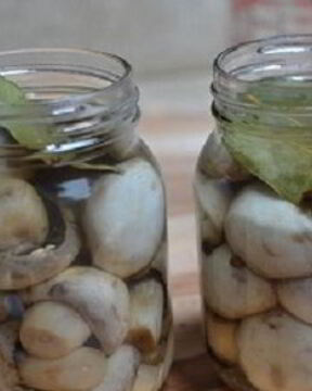 Маринованные шампиньоны