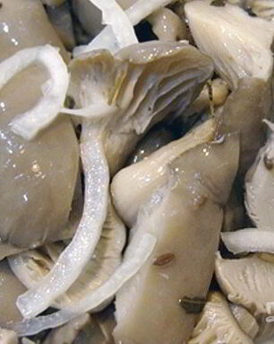 Маринованные вешенки