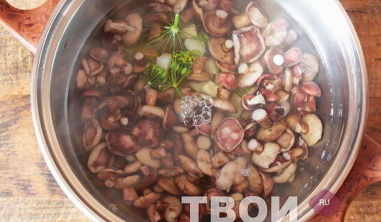 маслята маринованные