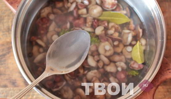 маслята маринованные