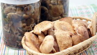 Маринованные грибы