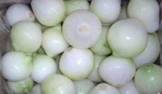 помидоры маринованные с луком