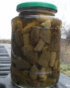 Сморчки маринованные