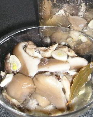 Вешенки, маринованные на закуску