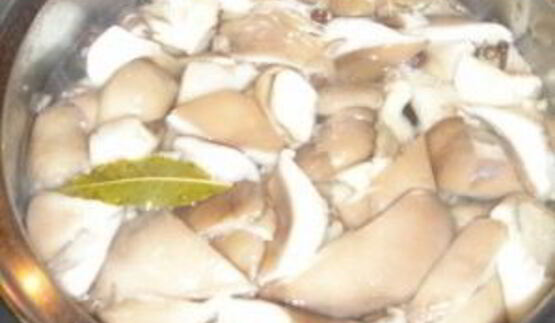 вешенки, маринованные на закуску