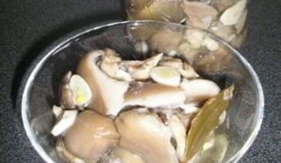 вешенки, маринованные на закуску