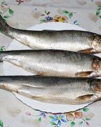 Домашняя соленая селедка