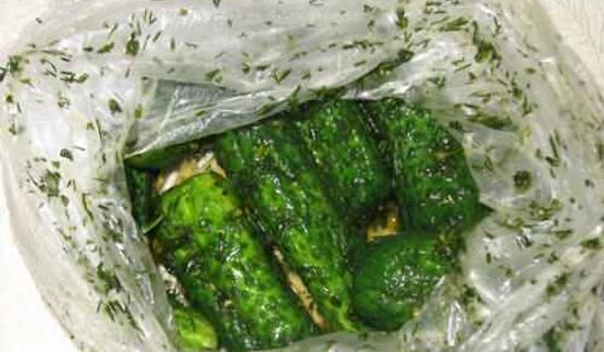 малосольные огурчики без рассола