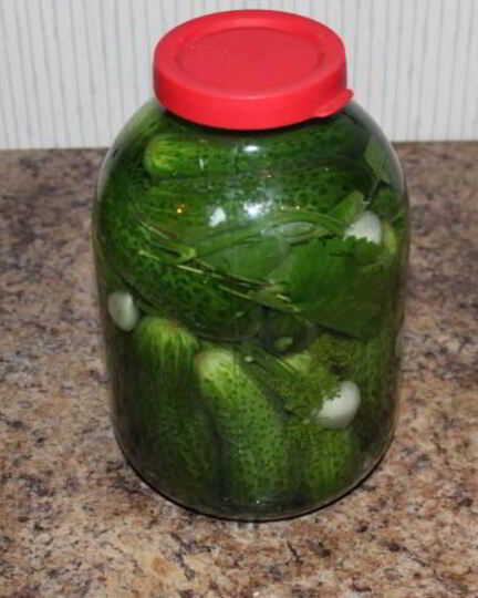 Рецепт малосольных огурчиков горячим способом