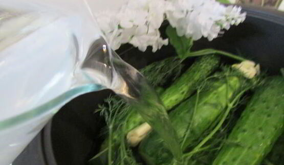 малосольные огурчики в минеральной воде