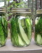 Малосольные огурцы с рассолом