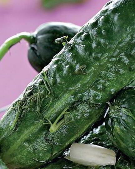 Рецепт малосольных огурцов в кастрюле