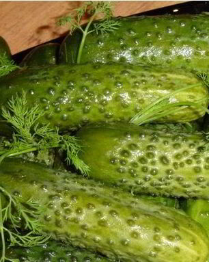 Малосольные огурцы в холодной воде