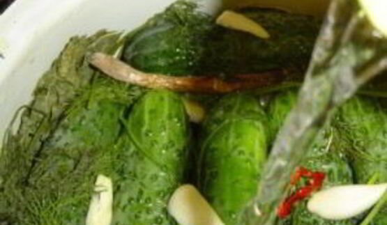 малосольные огурцы в холодной воде