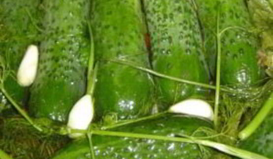 малосольные огурцы в холодной воде