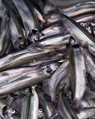 Мойва пряного посола