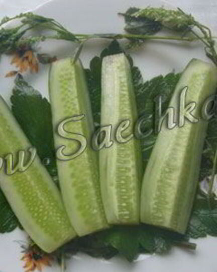 Рецепт огурцов малосольных с дикими травами