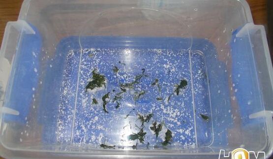 огурцы малосольные