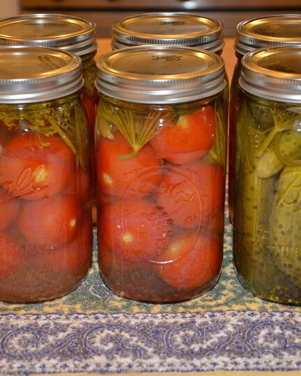 Рецепт помидоров консервированных